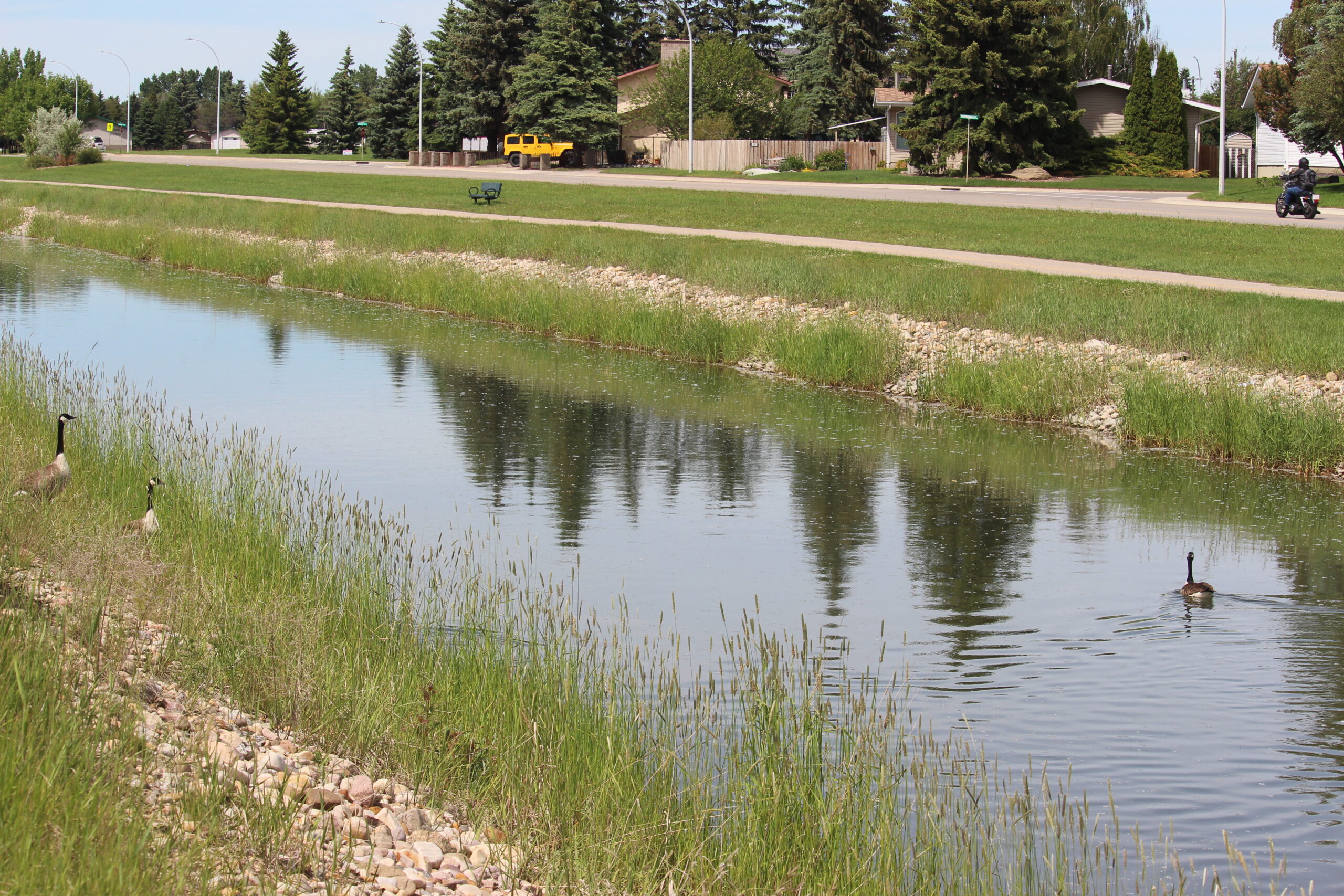 Strathmore Canal